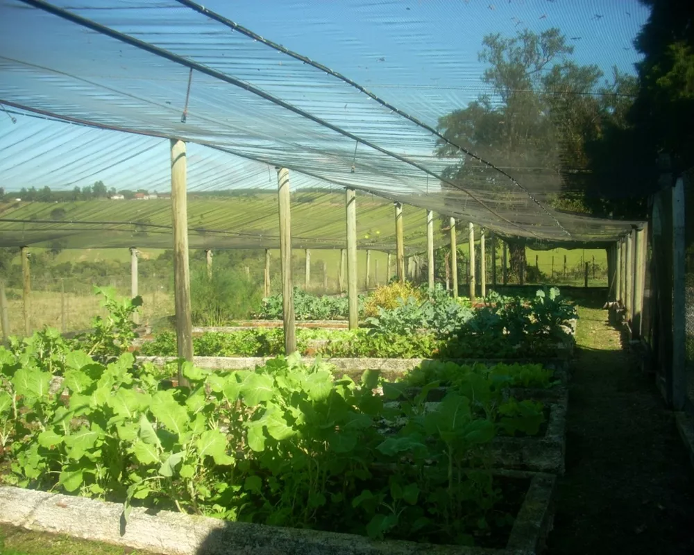 Sítio, 18 quartos - Foto 15