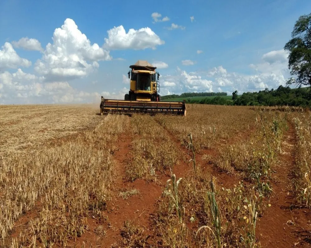 Fazenda - Foto 1