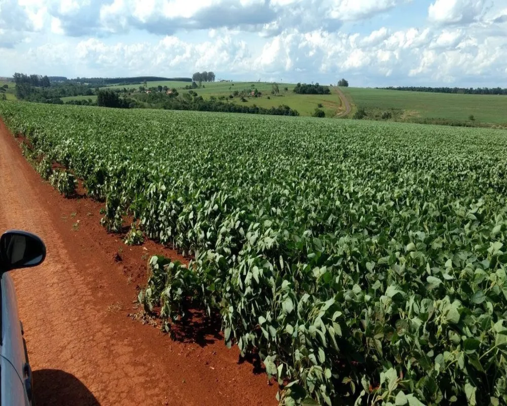 Fazenda - Foto 8