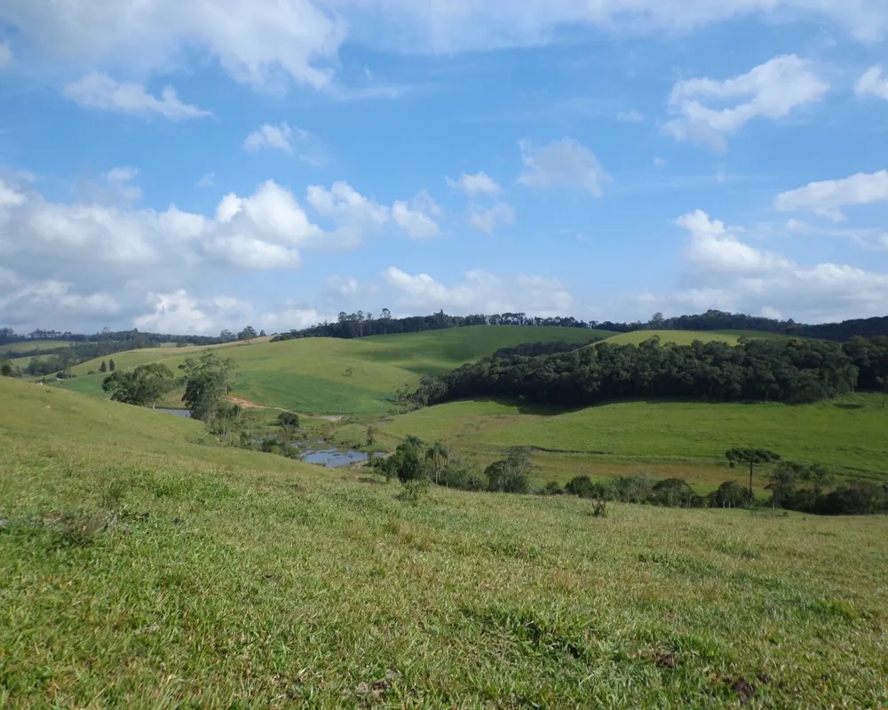 Fazenda - Foto 7