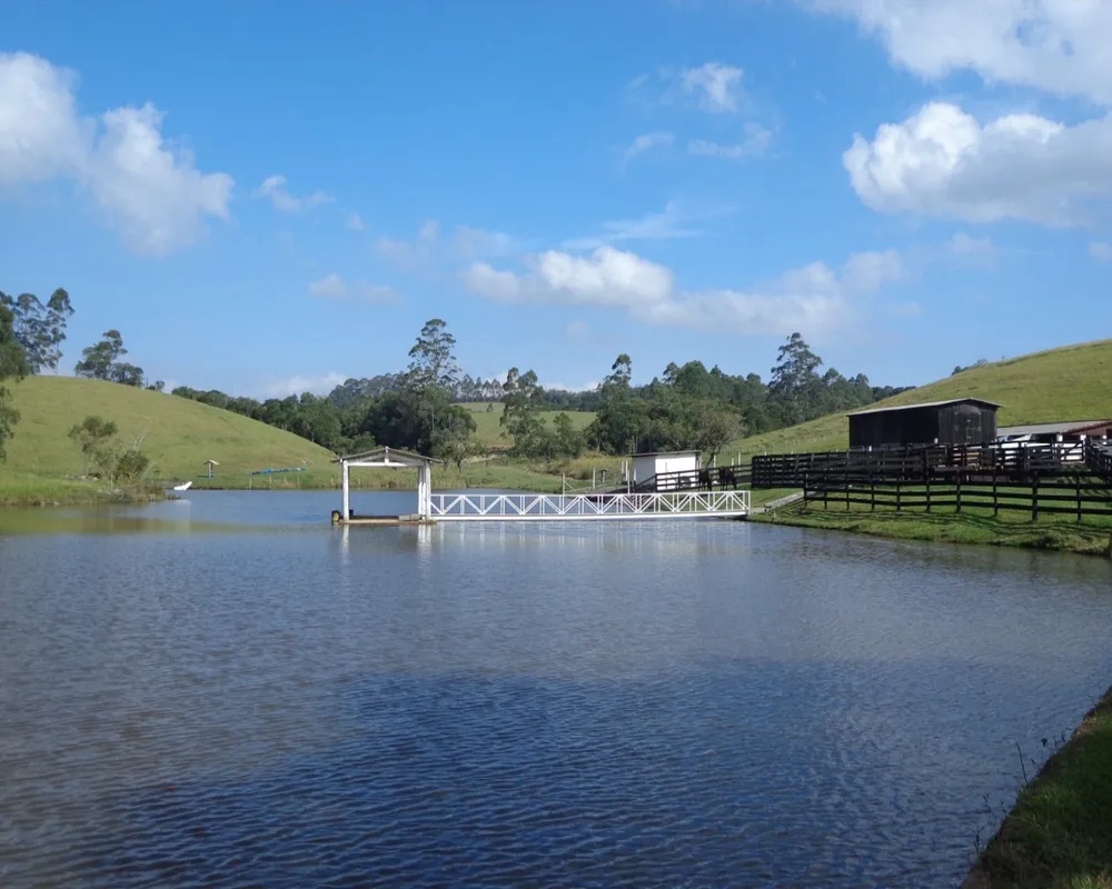 Fazenda - Foto 1