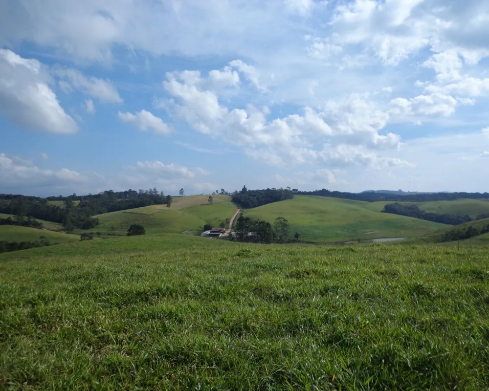 Fazenda - Foto 8