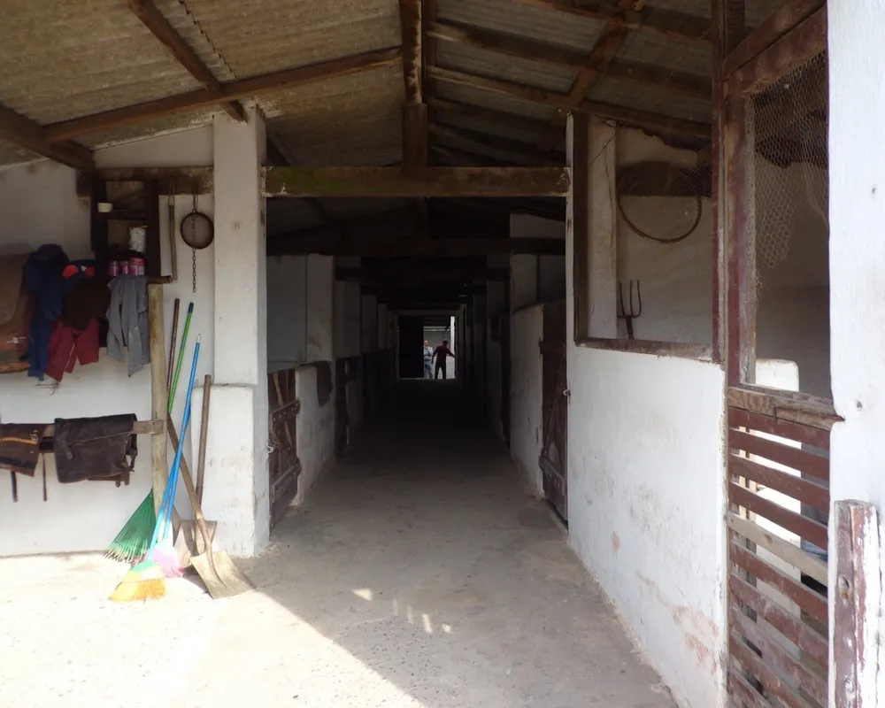 Fazenda - Foto 6