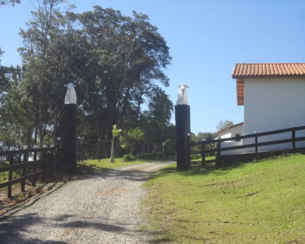 Fazenda - Foto 4