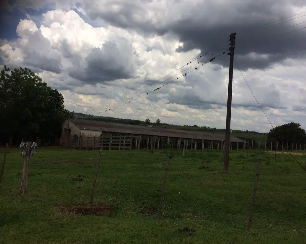 Fazenda - Foto 4