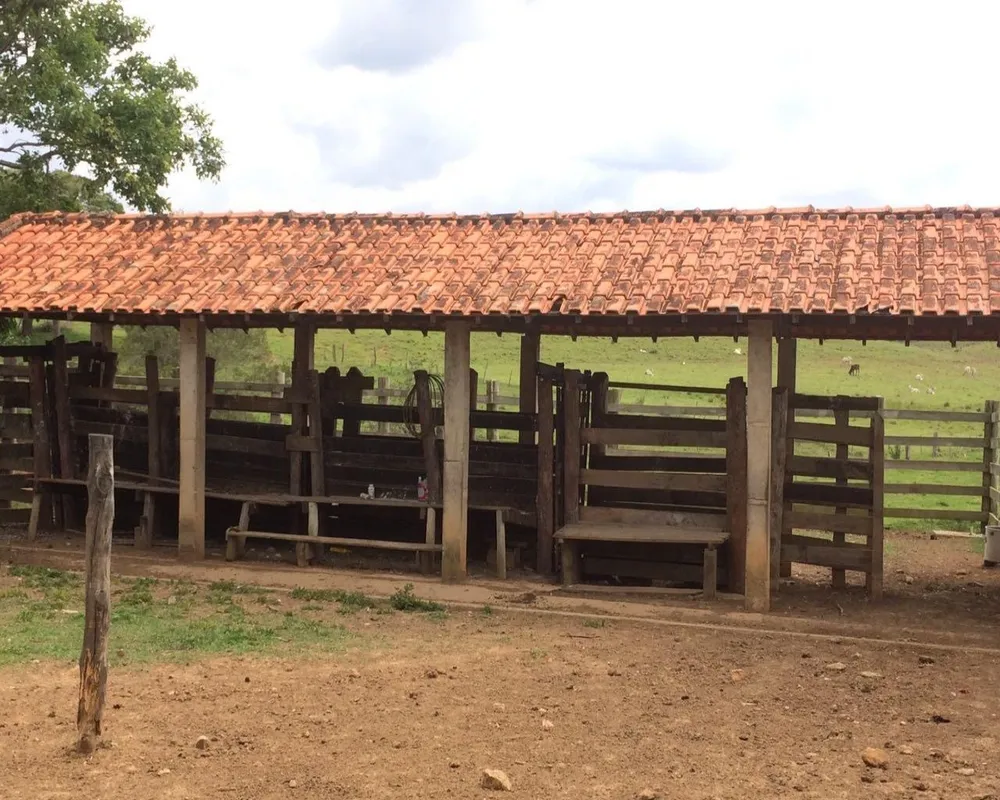 Fazenda - Foto 5
