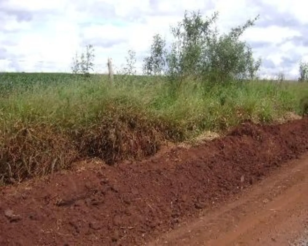Fazenda - Foto 2