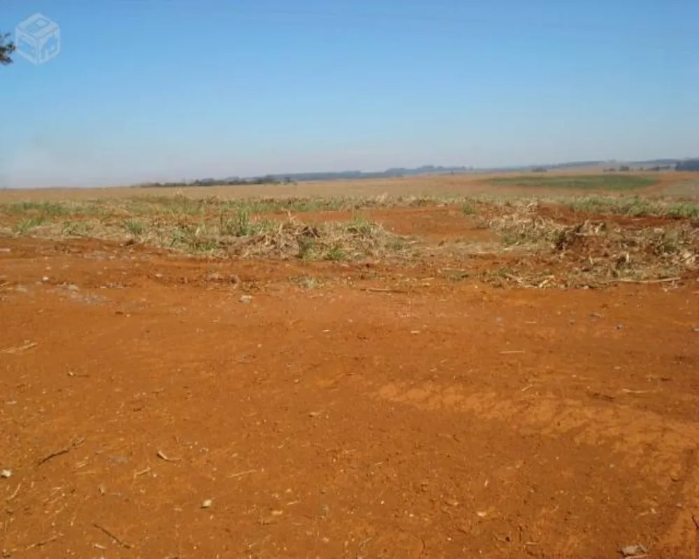 Fazenda - Foto 2