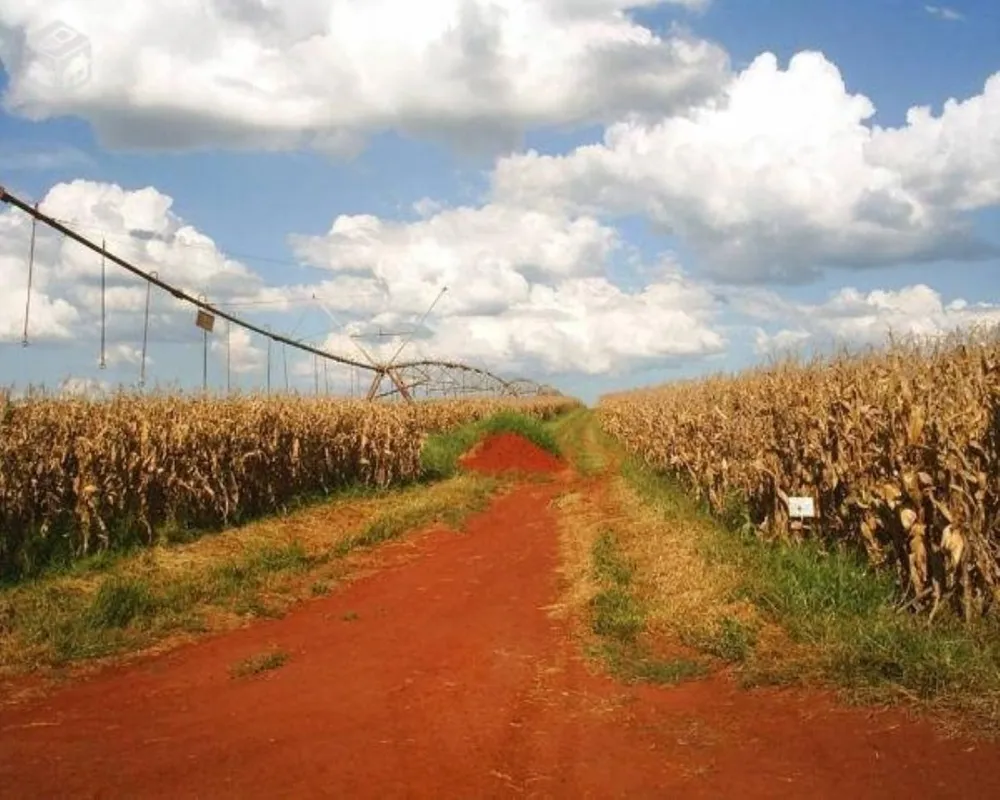 Fazenda - Foto 1