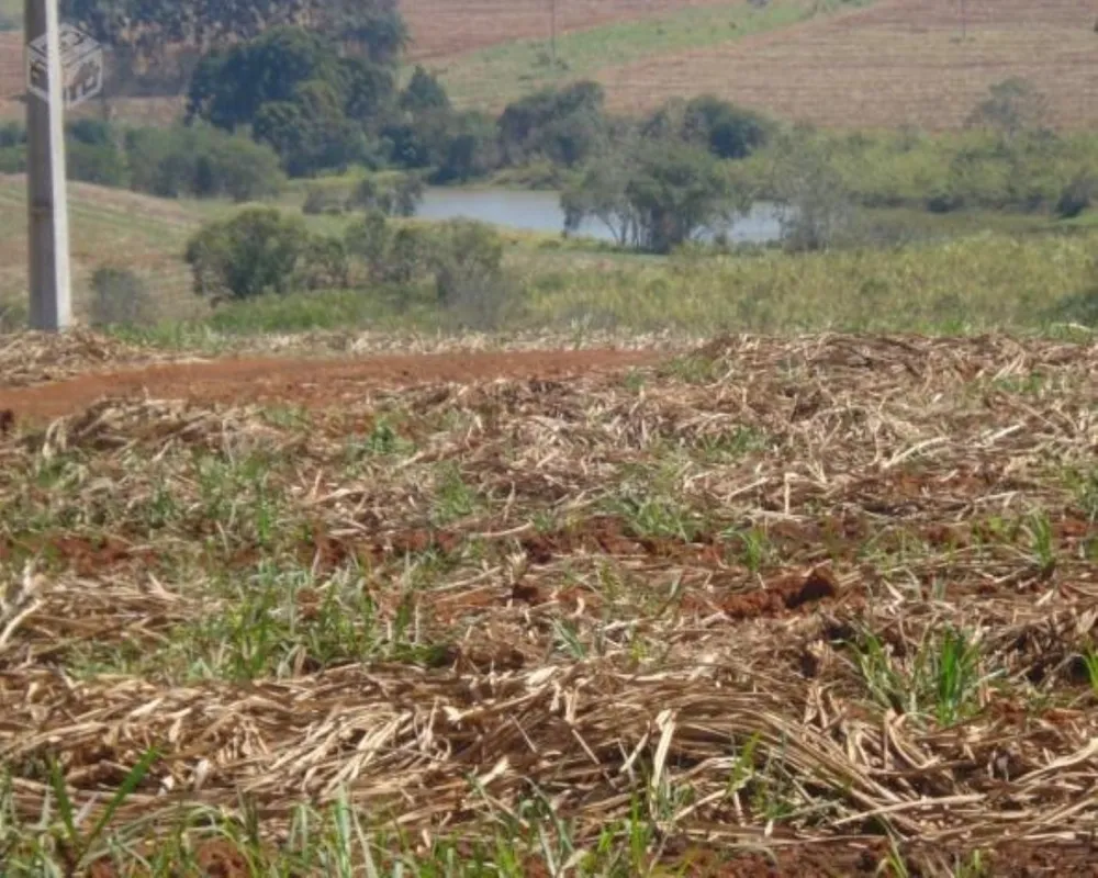 Fazenda - Foto 3