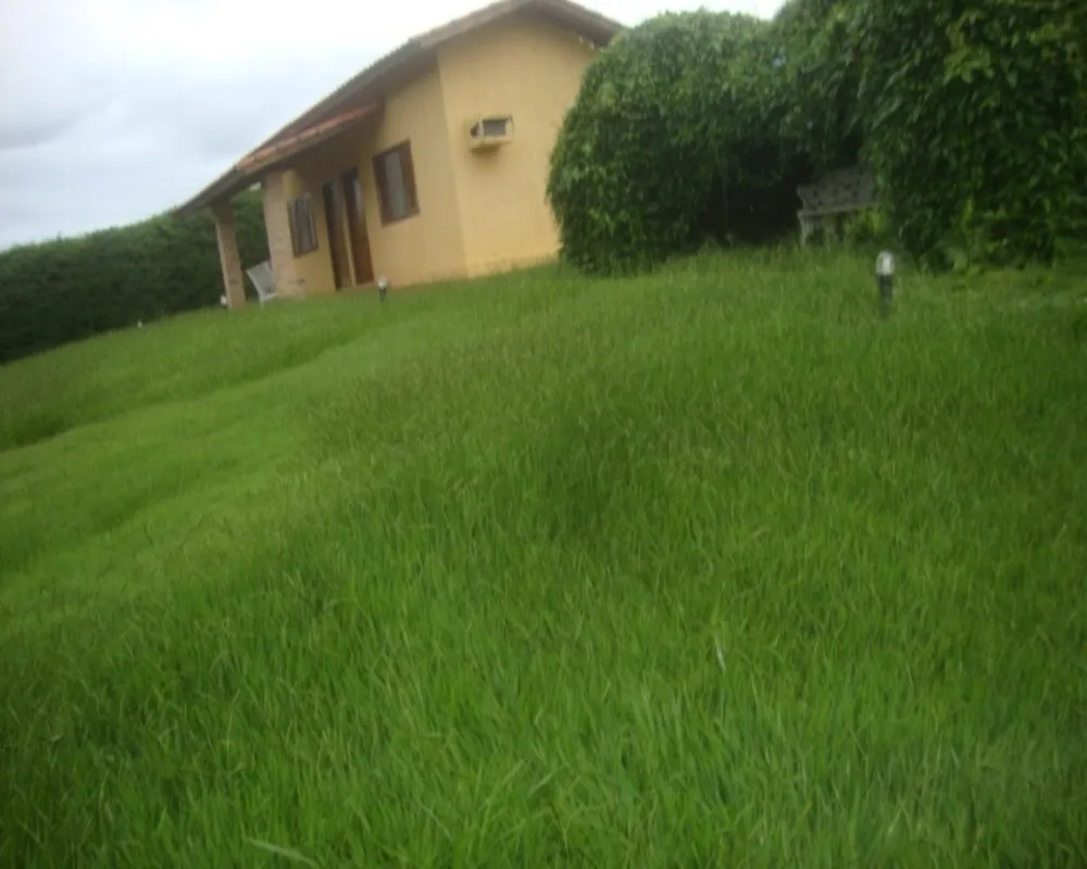 Fazenda - Foto 4