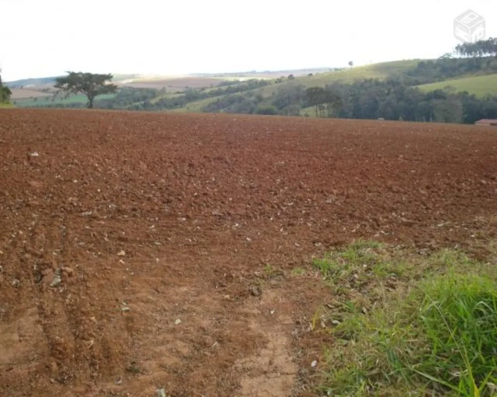 Fazenda - Foto 4