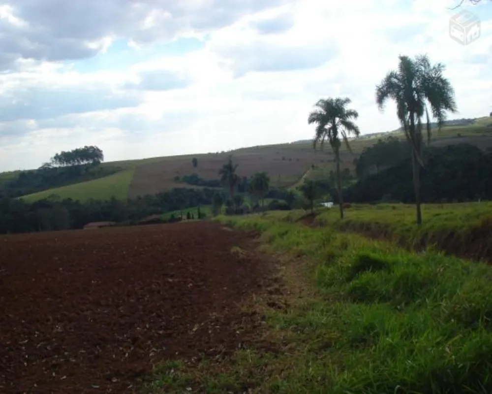 Fazenda - Foto 3