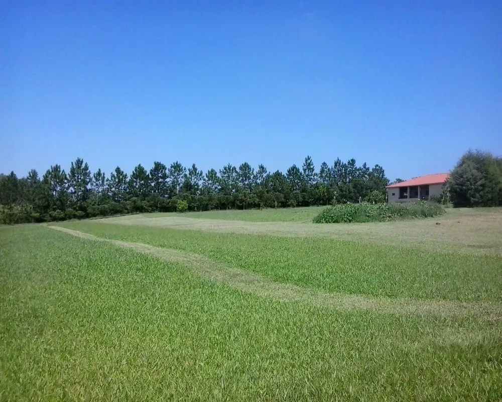 Sítio - Foto 6