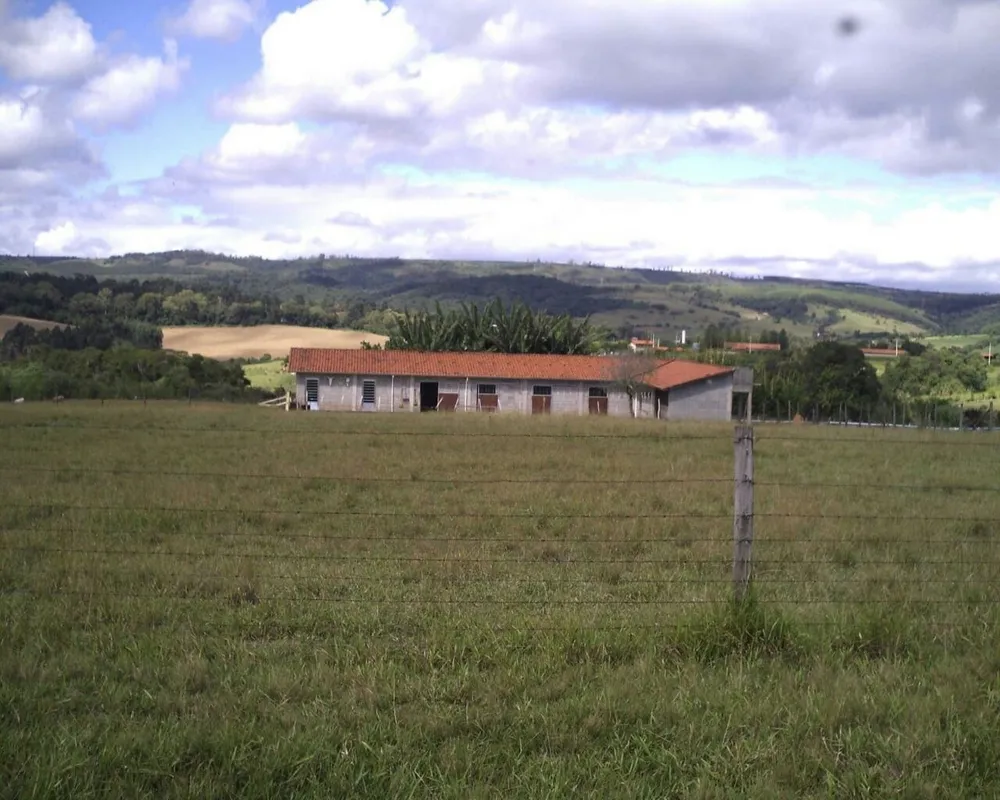 Sítio - Foto 7