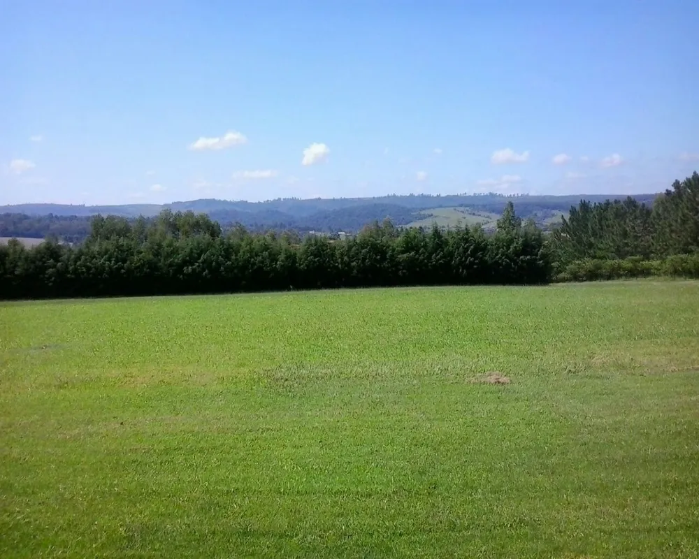 Sítio - Foto 4