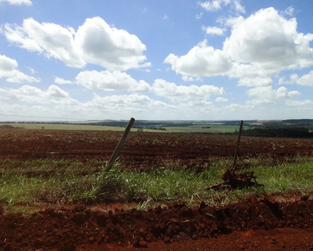 Fazenda - Foto 4