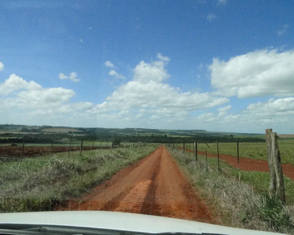 Fazenda - Foto 5