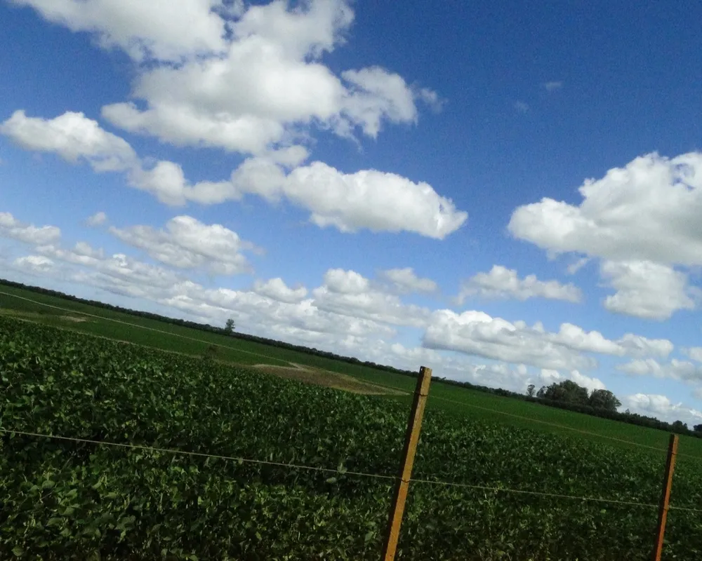 Fazenda - Foto 8