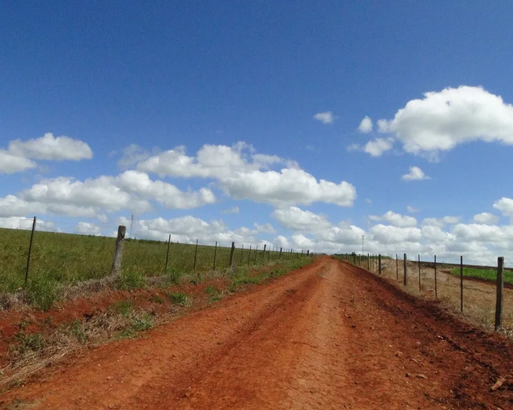 Fazenda - Foto 7