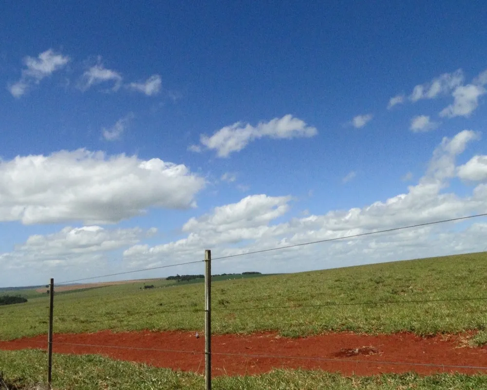Fazenda - Foto 3