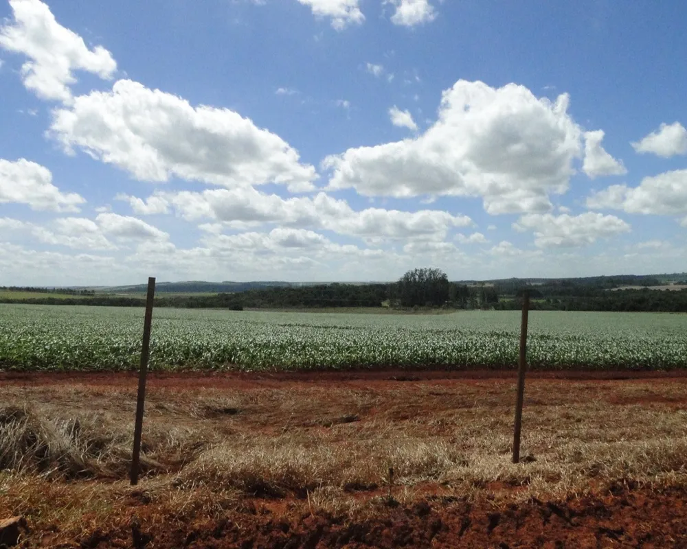 Fazenda - Foto 6