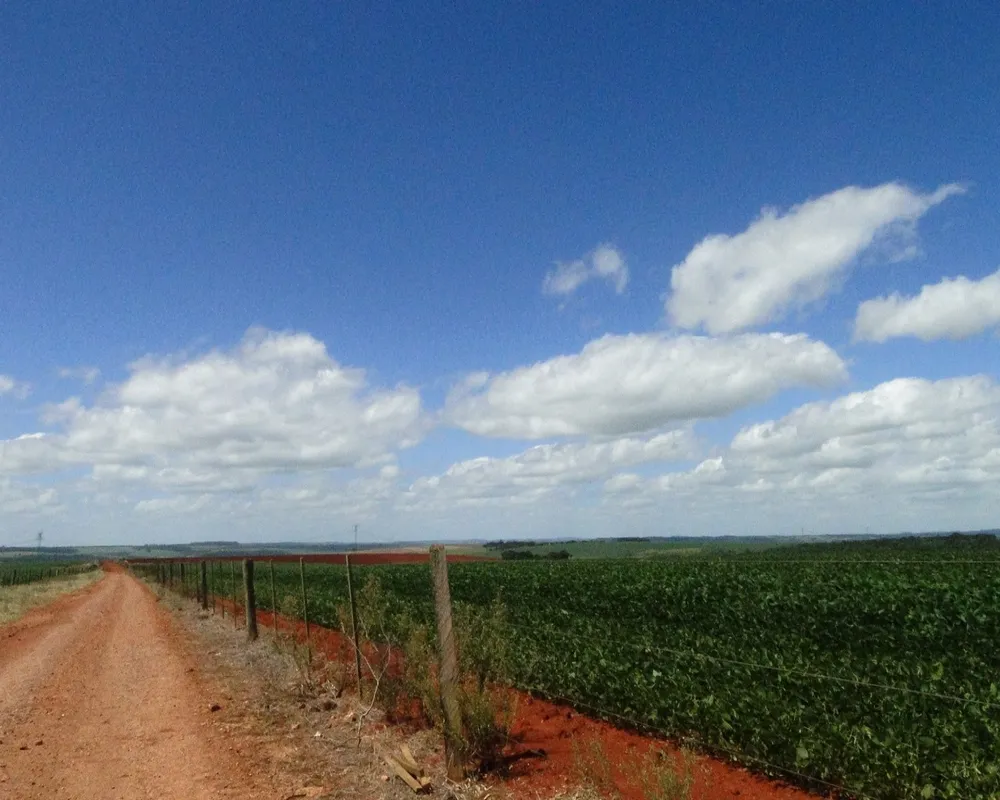 Fazenda - Foto 2
