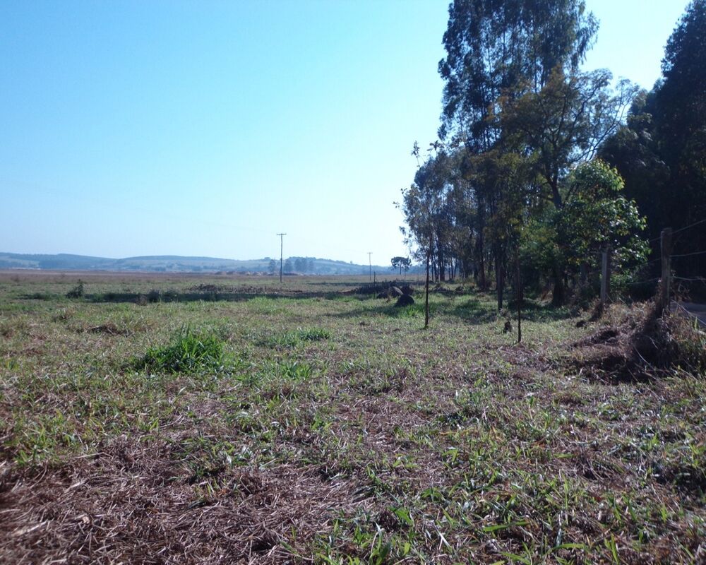 Sítio à venda - Foto 4