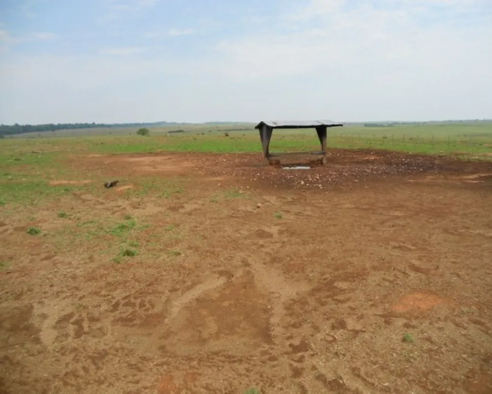 Fazenda - Foto 4