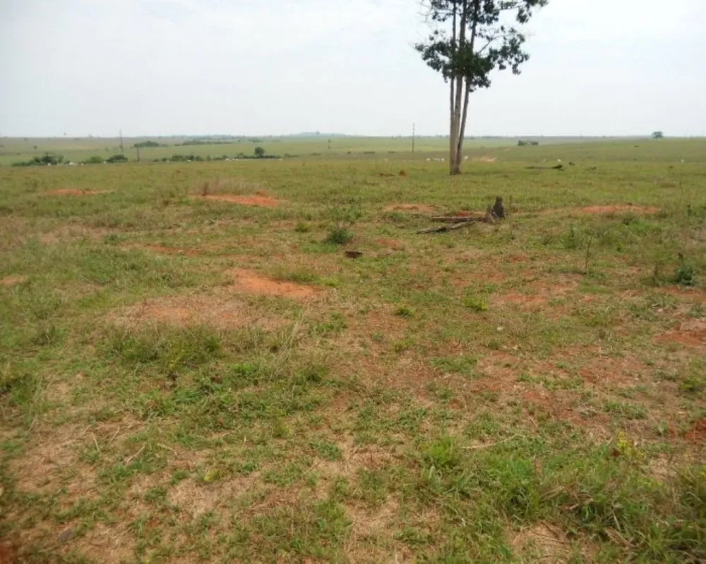 Fazenda - Foto 7