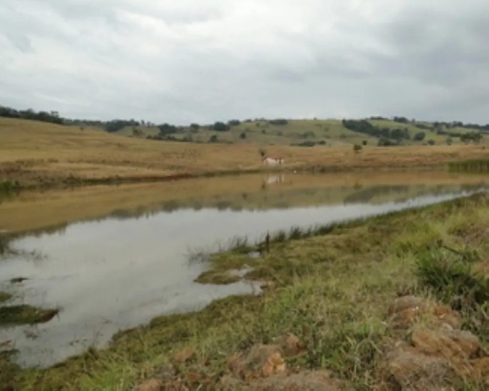 Fazenda - Foto 8