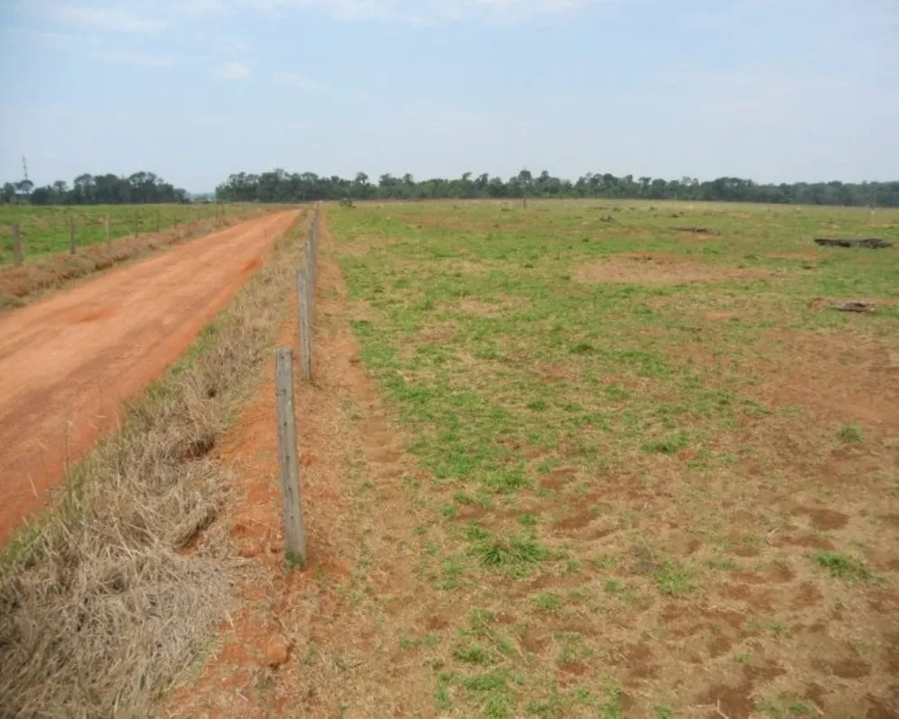 Fazenda - Foto 1