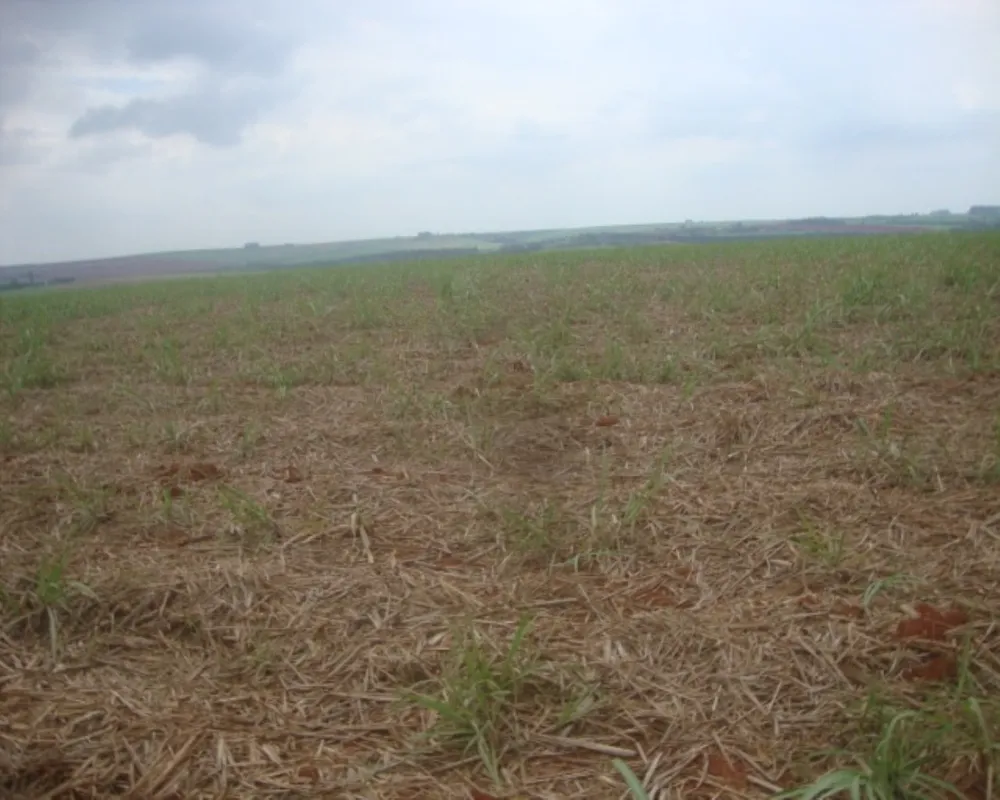 Fazenda - Foto 8