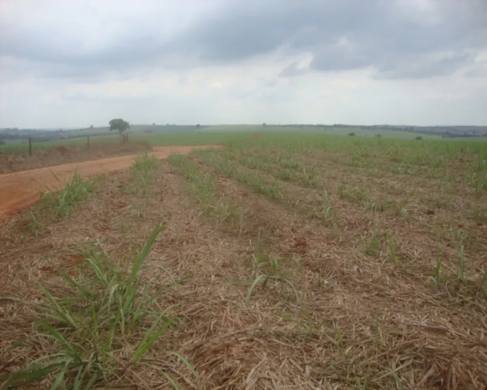 Fazenda - Foto 7