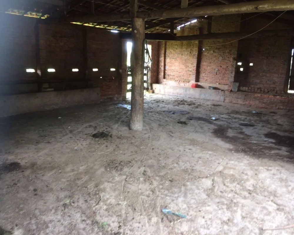 Sítio - Foto 18