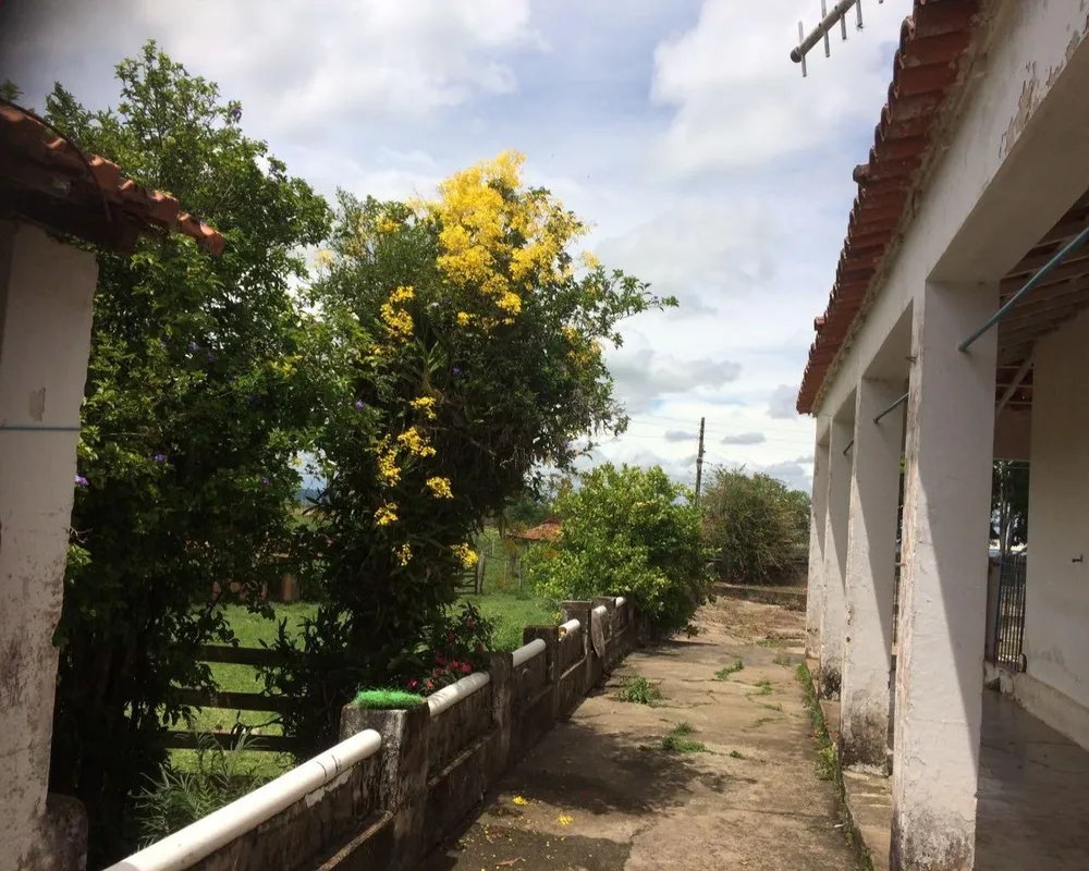 Sítio - Foto 19