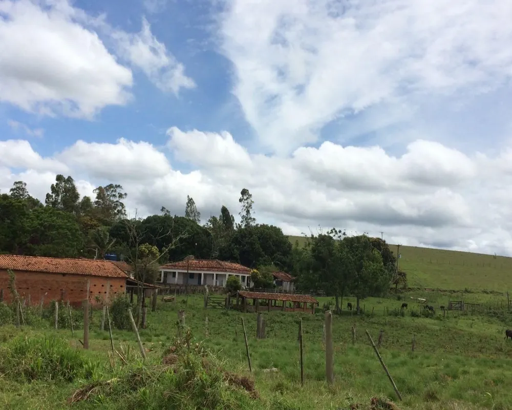 Sítio - Foto 6