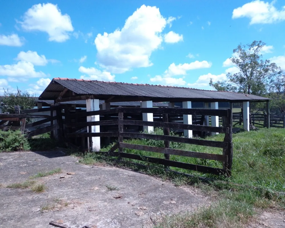 Fazenda - Foto 5