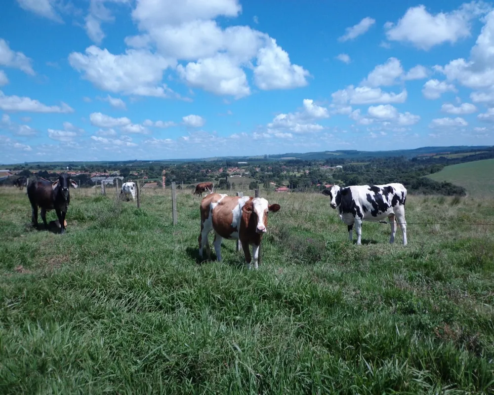 Fazenda - Foto 1