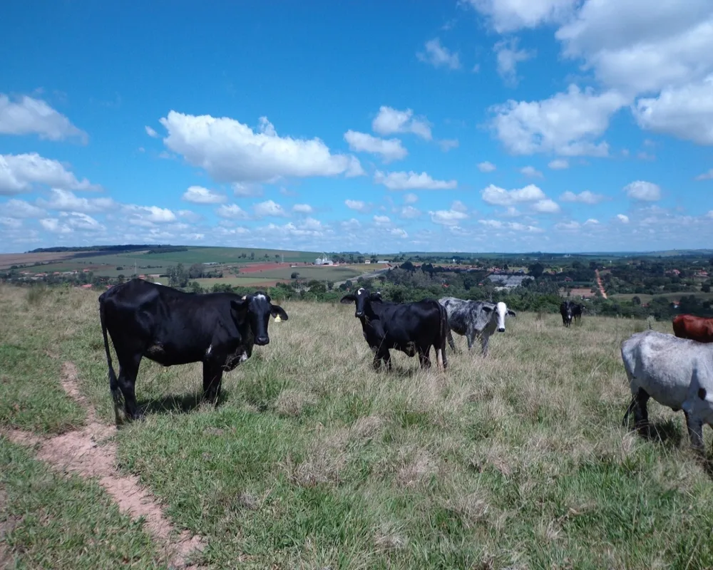 Fazenda - Foto 7