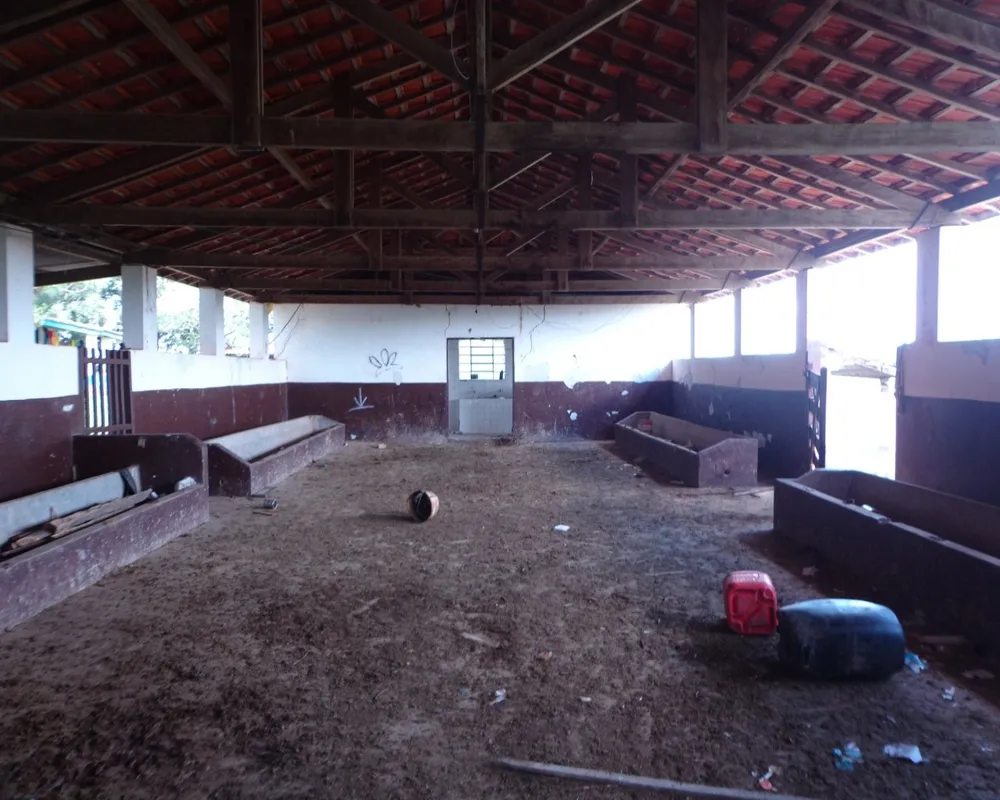 Fazenda - Foto 4