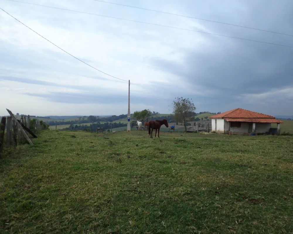 Sítio - Foto 6