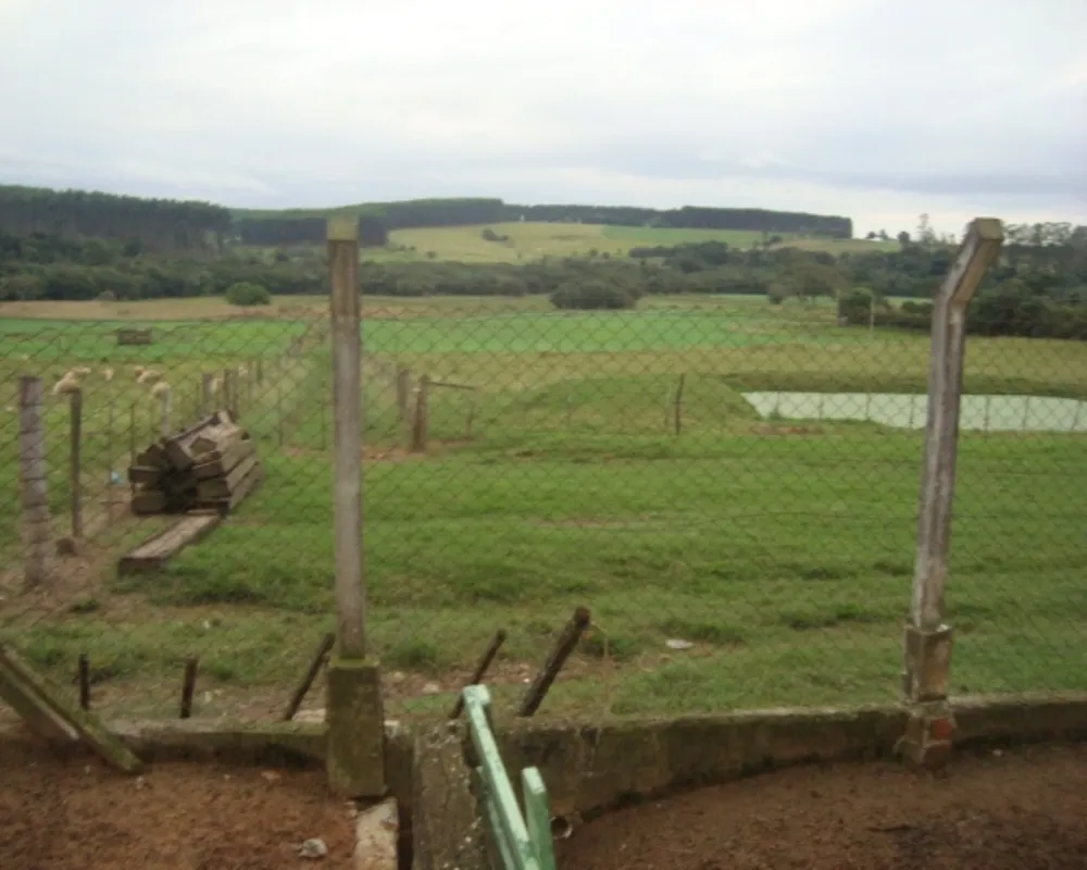 Sítio - Foto 5