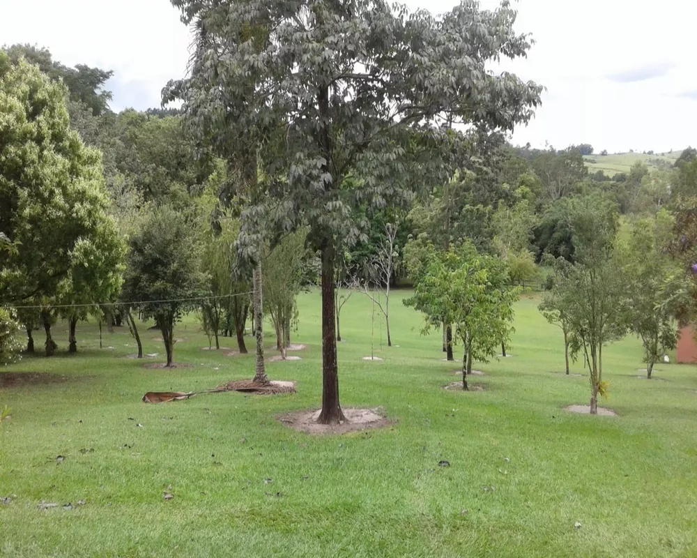 Sítio, 8 quartos - Foto 38