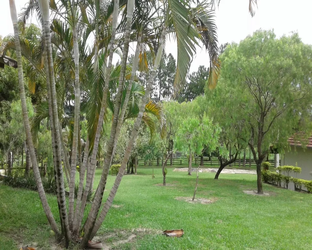 Sítio, 8 quartos - Foto 26