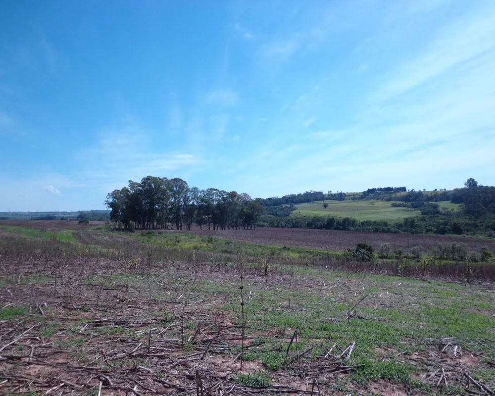 Fazenda - Foto 4