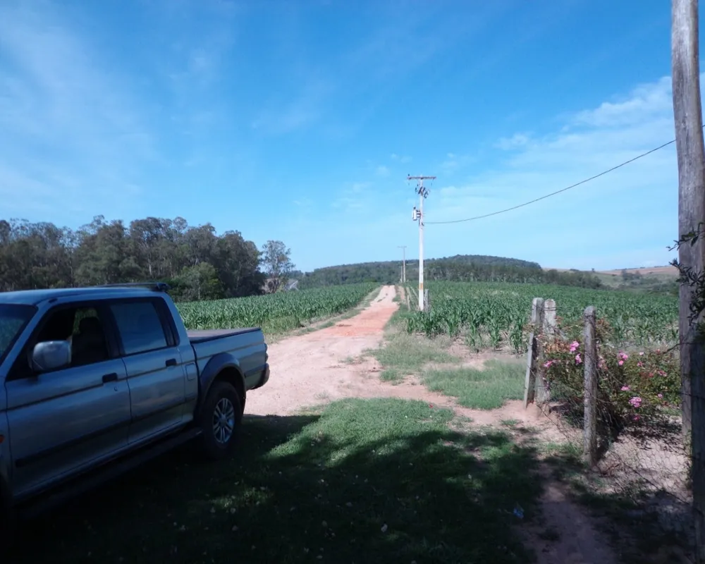 Fazenda - Foto 7