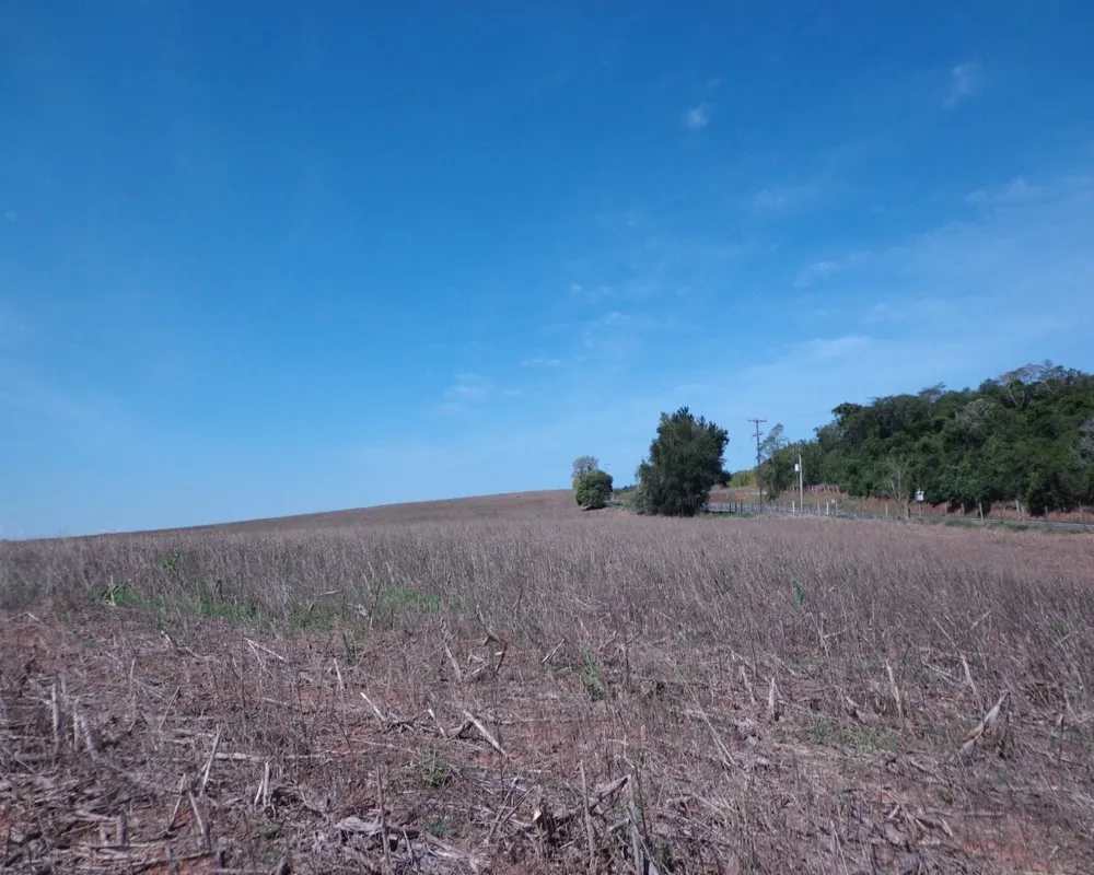 Fazenda - Foto 5