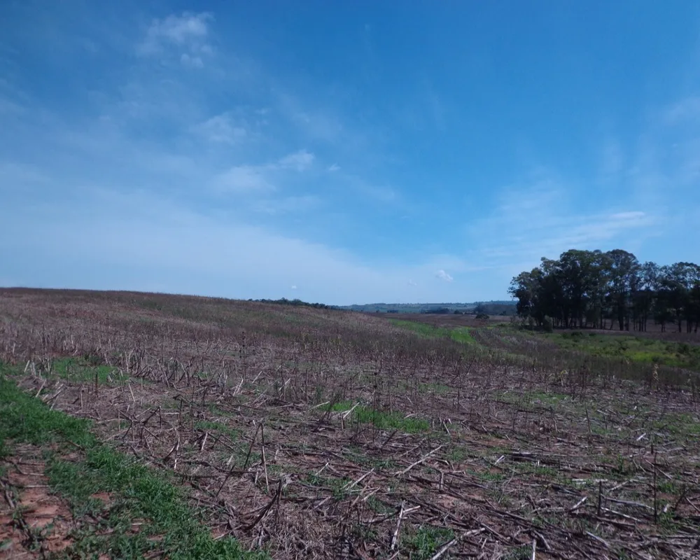 Fazenda - Foto 3