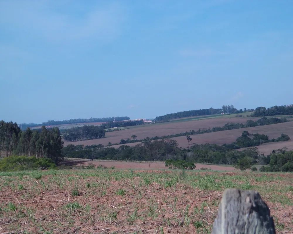 Fazenda - Foto 8